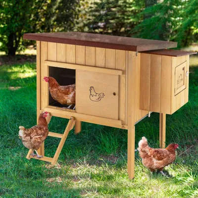 Ferplast Maisonnette pour poules en bois de pin nordique HEN HOUSE 10
