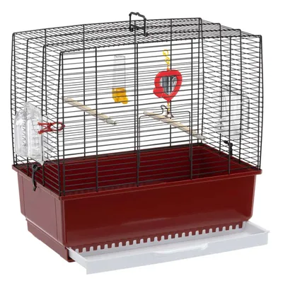 Ferplast Cage pour canaris et autres petits oiseaux REKORD 3