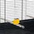 Ferplast FERPLAST Volière Cage à Oiseaux PIANO 8 : Grande PIANO 8