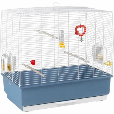 Ferplast Cage pour canaris et autres petits oiseaux PIANO 4