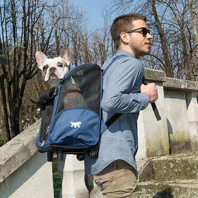 Ferplast Cage de transport pour chats et petits chiens. TROLLEY