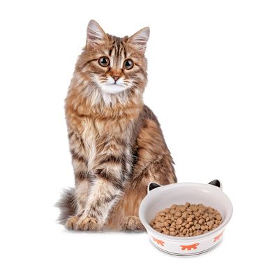 Ferplast Gamelle en céramique émaillée pour chats VENERE
