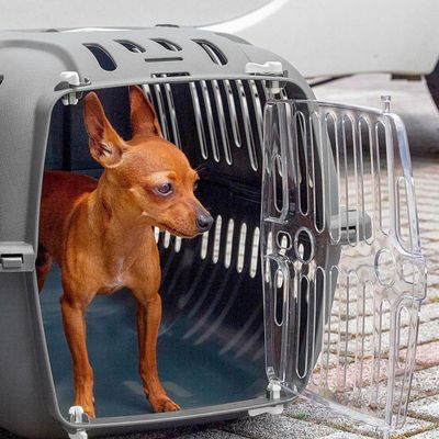 Ferplast Cage de transport Ferplast JET 20 pour chats et JET 20