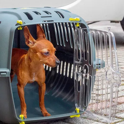 Ferplast Cage de transport Ferplast JET 20 pour chats et JET 20