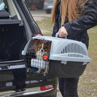 Ferplast Cage de transport pour chats et chiens de petite ATLAS DELUXE