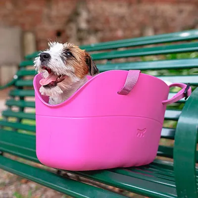 Ferplast Sac en résine pour le transport de chiens de WITH-ME
