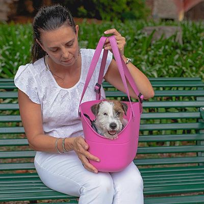 Ferplast Sac en résine pour le transport de chiens de WITH-ME