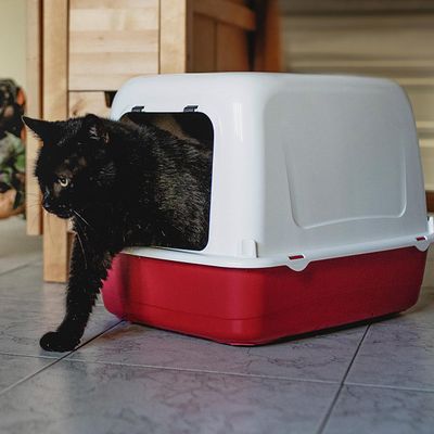 Ferplast Maison de toilette pour chats avec fond équipé ARIEL 10 HOME