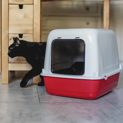 Ferplast Maison de toilette pour chats avec fond équipé ARIEL 10 HOME