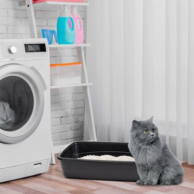 Ferplast Bac Litiere pour Chat Ferplast Nip 30 NIP 30