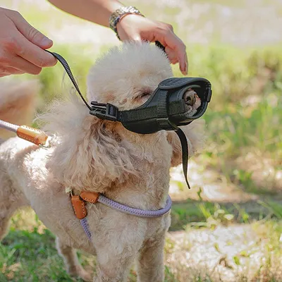 Ferplast Muselière réglable pour chiens avec rembourrage SAFE