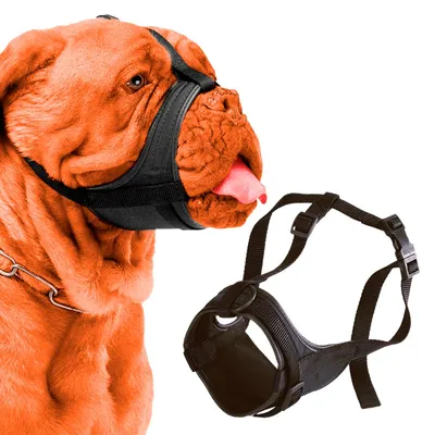 Ferplast Muselière rembourrée et réglable pour chiens à SAFE BOXER Ferplast Muselière rembourrée et réglable pour chiens à SAFE BOXER