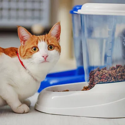 Ferplast Distributeur de croquettes - 2 couleurs ZENITH