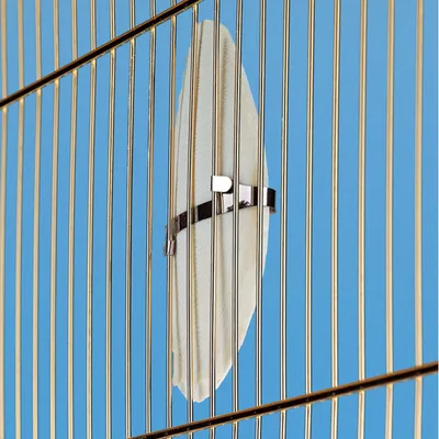 Ferplast Os de seiche pour oiseaux Os de seiche PA