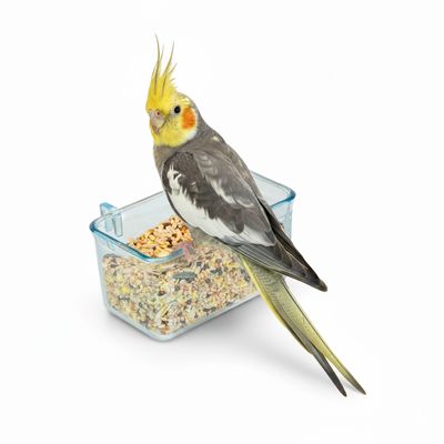 Ferplast Mangeoire en plastique transparente pour petits Mangeoire FPI