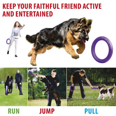 Ferplast Outil de fitness pour chiens Puller Maxi Violet