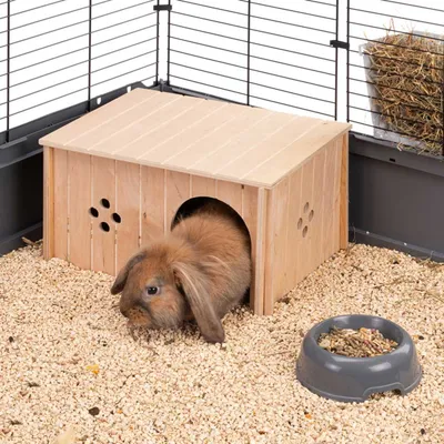 Ferplast Maison pour lapins Ferplast SIN 4647 en bois FSC SIN 4647