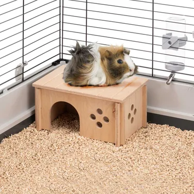Ferplast Maison pour cobayes Ferplast SIN 4645 en bois SIN 4645