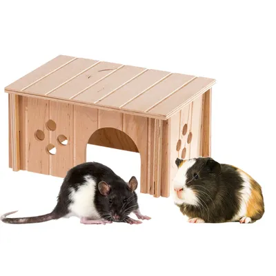 Ferplast Maison pour cobayes Ferplast SIN 4645 en bois SIN 4645
