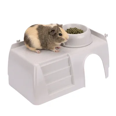 Ferplast Maisonnette en plastique pour cage Cavie 15 PUB 3253