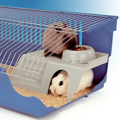 Ferplast Maisonnette en plastique pour cage Cavie 100 PUB 3252
