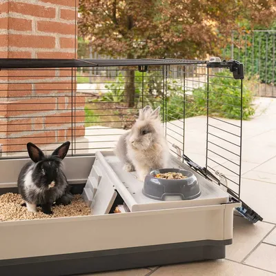 Cage pour Lapins Krolik L/XL Maison de Lapins Animaux Multicolore