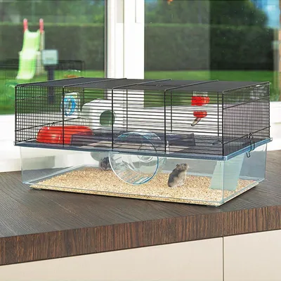 Ferplast Cage pour hamsters et souris FAVOLA