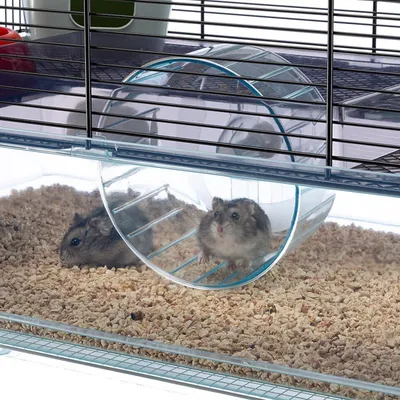 Ferplast Cage pour hamsters et souris FAVOLA