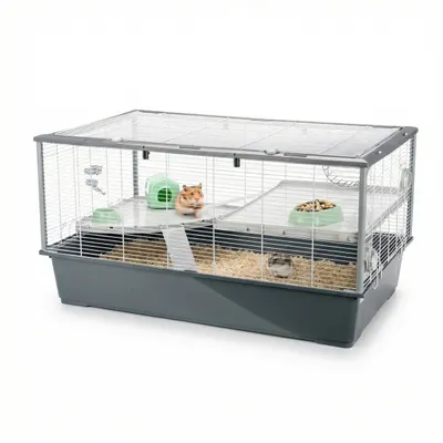 Ferplast Grande cage pour hamsters. CRICETI 100