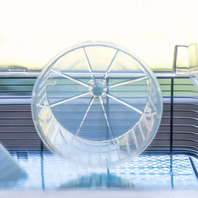 Ferplast Cage pour hamsters Duna Fun Large 71,5x46x41 cm