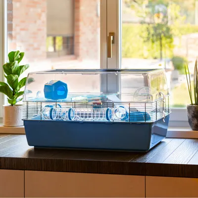 Ferplast Cage pour hamsters Duna Fun Large 71,5x46x41 cm