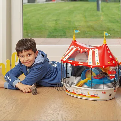 Ferplast Cage pour hamsters et petits rongeurs CIRCUS FUN
