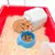 Ferplast Cage pour hamster Criceti 9 46 x 29,5 x 23 cm 57009070