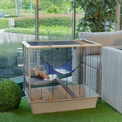 Ferplast Cage pour fûrets et rats FURAT Ferplast Cage pour fûrets et rats FURAT