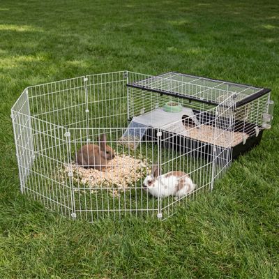 Ferplast Cage pour lapins et cochons d'inde avec clôture PARKHOME