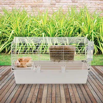 Ferplast Cage pour rongeurs FERPLAST CAVIE 80 : convient CAVIE 80