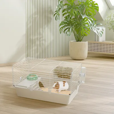 Ferplast Cage pour rongeurs FERPLAST CAVIE 80 : convient CAVIE 80 Ferplast Cage pour rongeurs FERPLAST CAVIE 80 : convient CAVIE 80