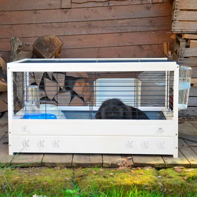 Ferplast Cage pour Cochons d'Inde 82 x 52 x 45,5 cm 57089317