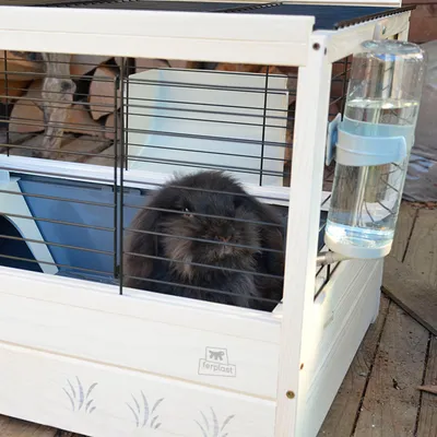 Ferplast Cage pour Cochons d'Inde 82 x 52 x 45,5 cm 57089317