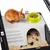 Cage pour Lapins Cage pour Rongeur Enclos Petits Animaux Multi-taille