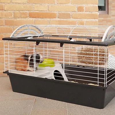 Cage pour Lapins Cage pour Rongeur Enclos Petits Animaux Multi-taille