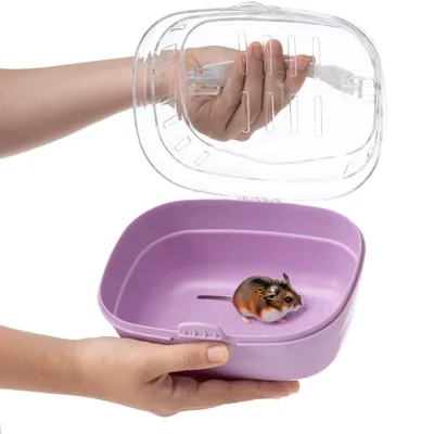 Ferplast Transport pour hamsters ALADINO SMALL