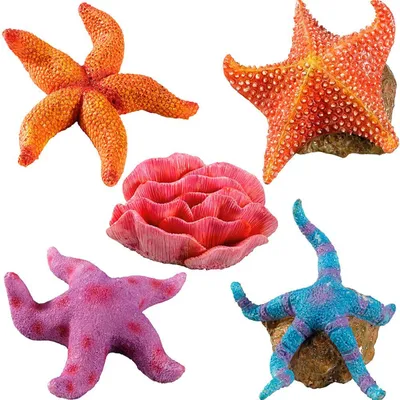 Hydor Décorations en résine pour aquariums. BLU 9179 AQUA