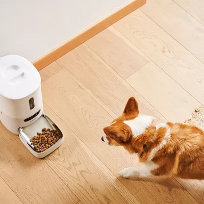 Pawsync Distributeur intelligent 3,6L anti-obstruction
