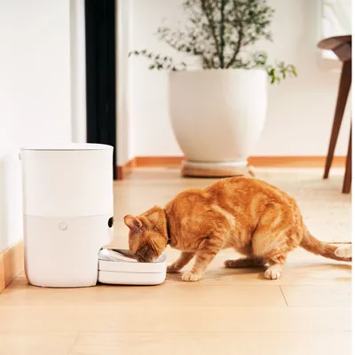 Pawsync Distributeur intelligent 3,6L anti-obstruction