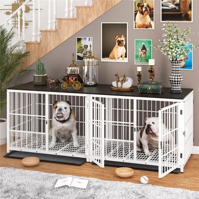 Cage d'intérieur 3 Portes BINGOPAW pour chien