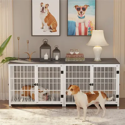Cage d'intérieur 3 Portes BINGOPAW pour chien
