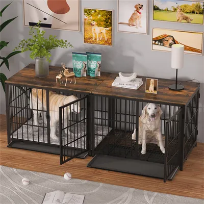 Cage d'intérieur 3 Portes BINGOPAW pour chien