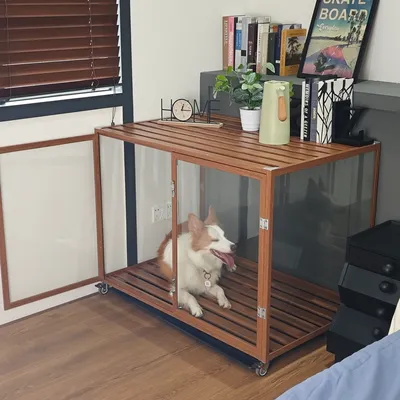 Cage Chien Transparent caisse pour Animaux à Roulette avec 2 Porte