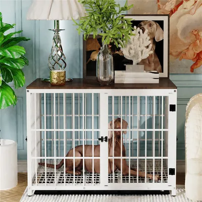 Cage d'intérieur 3 Portes BINGOPAW pour chien